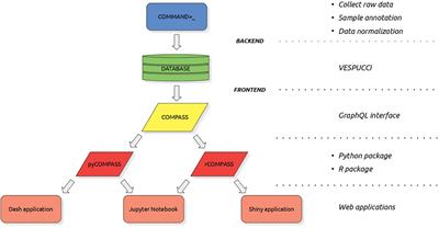 A COMPASS for VESPUCCI: A FAIR Way to Explore the Grapevine Transcriptomic Landscape